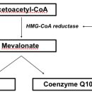 에너지약국 이미지