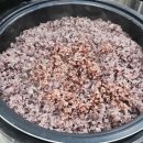 [수원] 한식뷔페칠성 경희대점