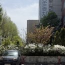 대치 | [Review] 대치동 24시간 무인 꽃집, 플라워팬트리 대치점 방문 후기💐