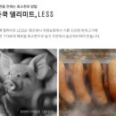 성우미트 이미지