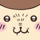 광주네집 이미지