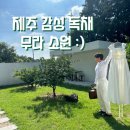 무라소원 | 뷰의 자쿠지가 좋았던 제주 독채 숙소 무라소원 | “소원 룸”후기 셀프웨딩 준비 아이숙소 추천 내돈내산