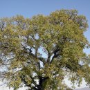 하남 천주교 명례 성지 이미지