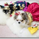 이츠펫(진천점) 이미지