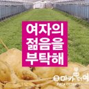 현대인 주식회사 이미지