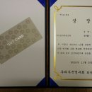 서영미 Daum카페