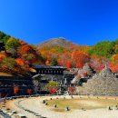 수원-0586 이미지