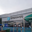종합운동장내 수영장 | 안양 종합운동장 수영장 주말 자유수영 후기