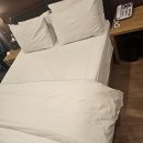 브라운 도트 | 대구 숙소 추천 50,900원에 조식 포함? 브라운도트 성당못점 후기!