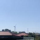 벨진우영