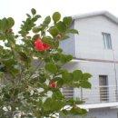 해오름노래방 이미지