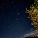 포레스테이 죽암 이미지