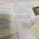 한잎클로버 | 마티스블루 Matisseblue 반려동물 목걸이 N번째 구매한 사람의 찐찐찐 후기