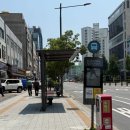 mm애견공방 | 잠실 애견유치원 MM애견공방 이용 후기