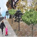 창이대로 이미지