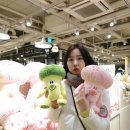 핑크브로콜리 이미지