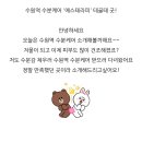 에스테라피 - 원주시 원일로 89 | 에스테라피