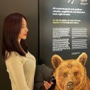 전즐 이미지