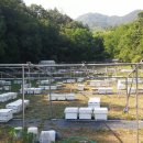 귀소농장 이미지