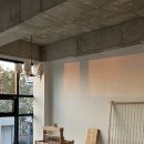 서유1호 이미지