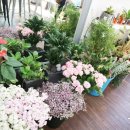 수원-0219 이미지