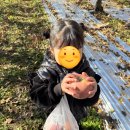 칸타빌레음악학원 | [울산 울주군 범서 음악학원]UM칸타빌레음악학원 11/15 사과따기 &amp; 에코리움 체험학습 후기!