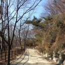 서리풀공원1-20 이미지