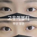 정관속눈썹연장 | 고우미뷰티 펌포인트연장 대만족