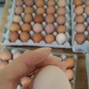 순풍농장 이미지