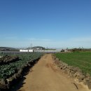 신도리-4 이미지