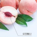 추무로
