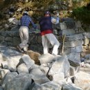 느티나무 일원 이미지