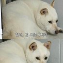 미래인재학원 이미지