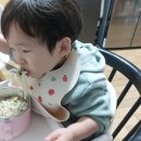 총각손칼국수 티스토리