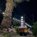 올에프주 | 제주도 카페패스 : 카페 추천 비추천 정리