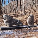 [백두대간 3기] 26구간 고치령~갈곶산~늦은목이(오전리) 이미지