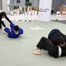 블랙벨트 체육관 이미지