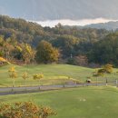 골프나라 이미지