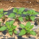 도덕보건지소 이미지