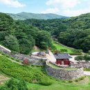 고창이네 이미지