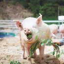 철한기업 이미지