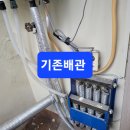 동성2차 이미지