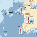 [단독] '아열대 코리아'… 서울이 방콕보다 덥다 이미지