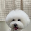 다녀오개습니다 이미지