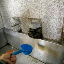 오읍약수터 이미지