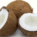 코코넛 재배 방법 이미지