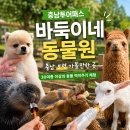 바둑이애견 | 충남 보령 바둑이네 동물원 | 충남투어패스 개화예술공원 30여종 동물먹이주기 체험 보령 가볼만한곳