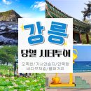 마티 슈프림 (2026) 리뷰