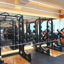 Y-Fit Fitness | 구리헬스장 PT 직접 받아본 후기, 운동을 제대로 배우고 싶다면 오앤핏 헬스 PT