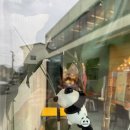 카페광 | 다시 재방문한 카페광 내돈내산 후기
